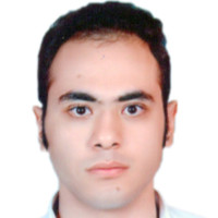 Hani Haleem