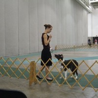 Emily Geiger