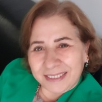 Ayse Demir