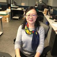 Queenie Wang