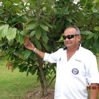 Manoel Sobrinho