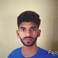 Satya Sreedhar N