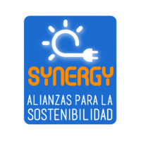 SYNERGY ALIANZAS