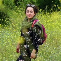 Nasim Hatami