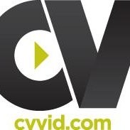 CV VID Jobs