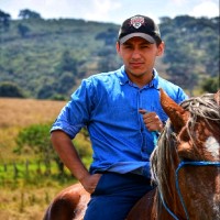 Brayan Stiven Vargas Celis