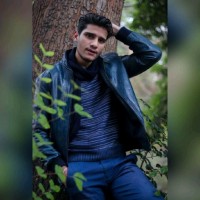 tehzeeb hafeez