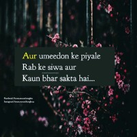 Shakeel Khokhar