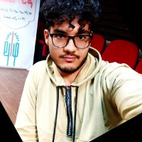 Amir Abbasgholia