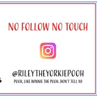 Riley Pomp