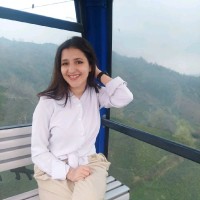 fateme torabi