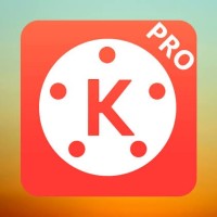 Kine Pro