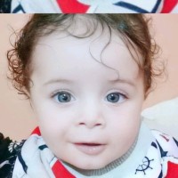 Hakim Lion