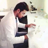 Raja Arsalan Fareed