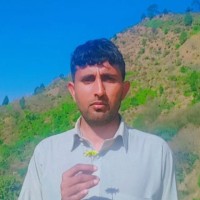 Muhammad Waseem Akram