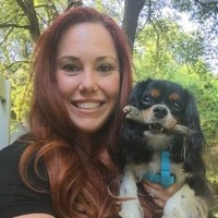 Amber Sawyer