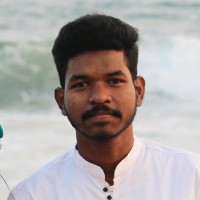 Milan Mandi
