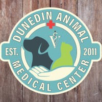 Tampa Bay Animal Hospitals