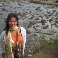 carla calandra