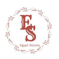 Egypt stocks Securities Brokerage