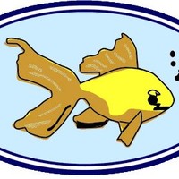 Aqualand International