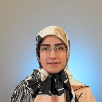 Somayeh Soltani