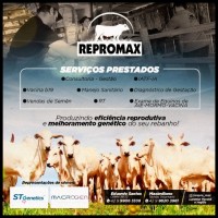 Maximiliano Rodriguês Da Rosa