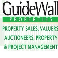 Guidewall Properties