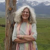 Barb Tonn