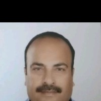 Hamza Aly