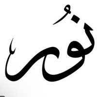 Noor Alrshaied