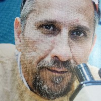 Mohammad Bohlooly