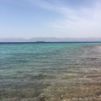 عبدالمجيد عبدالله