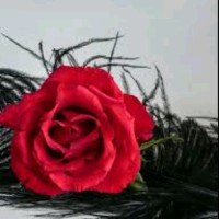 Sana Khurram