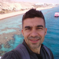 Joao Vinicius Ferraz Dias Ferreira