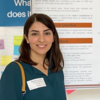 Forouzan Foroughi, Pt, Phd