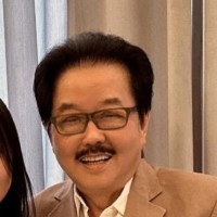 拿智林辉汶