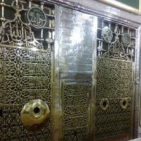 Osamaabdelkader Elshinawy