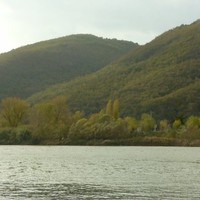 stefano atti