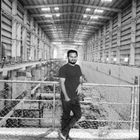 vanthadupula vinay kumar