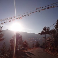 DAMODAR ADHIKARI Damodar