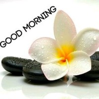 Vaishna. Vaishav