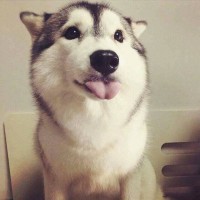 melm melm