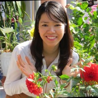 Kimchi Dinh