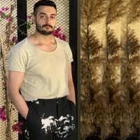 Amir Almohammad