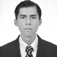 LUIS PABLO REYES FERNANDEZ