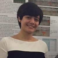 Melissa Scanlon
