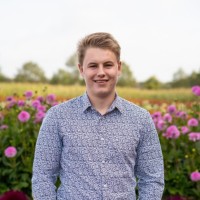 Bram Vos