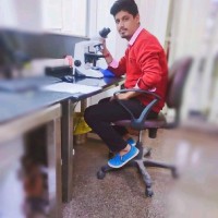 rajat Negi
