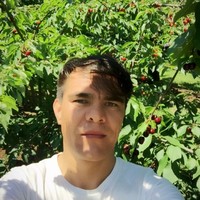 Zia Ahmadi